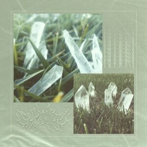 Shmoozy "Bloom" Album Artwork, 2023