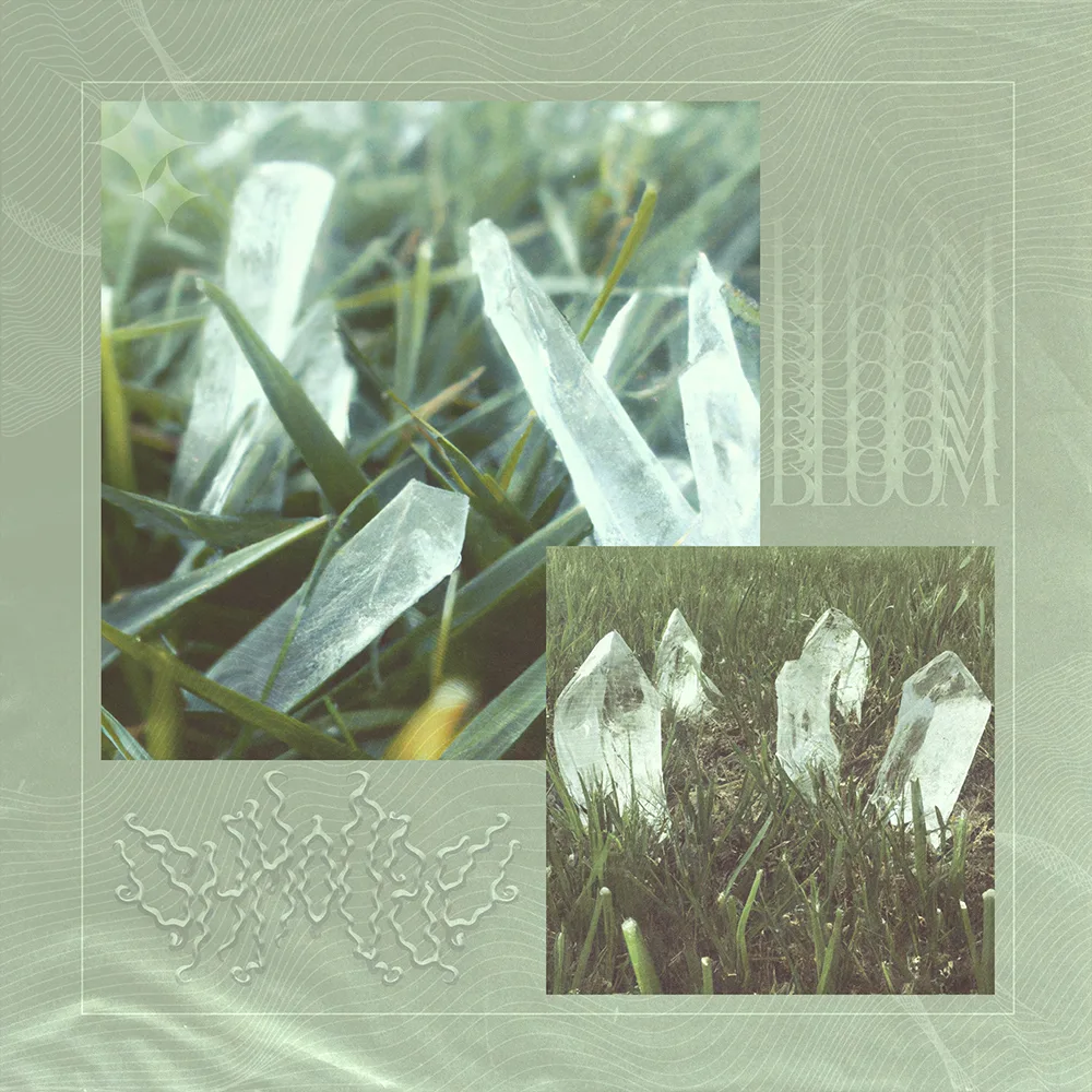 Shmoozy "Bloom" Album Artwork, 2023